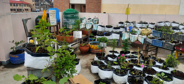 Oh no the image is broken